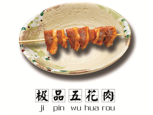 陶瓷皮帶清掃器
